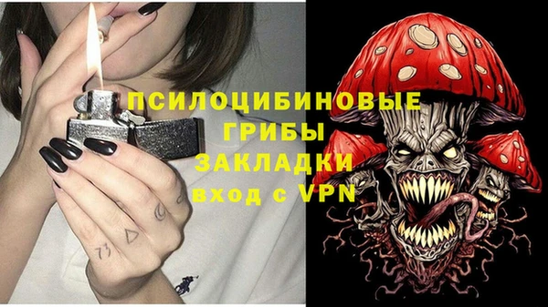 кокс Баксан