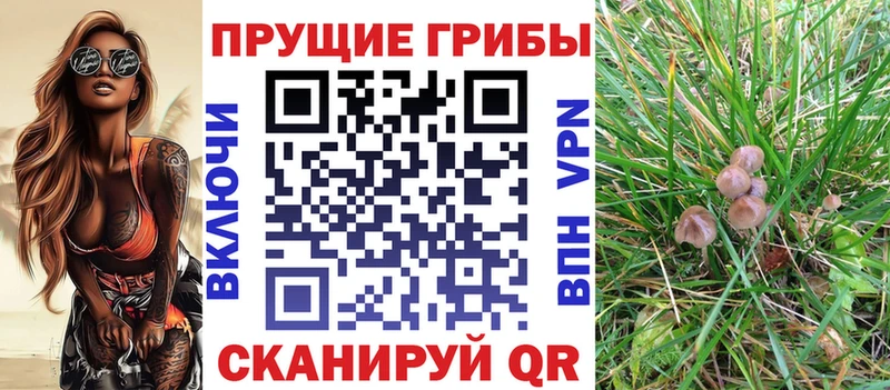 Псилоцибиновые грибы Psilocybine cubensis  Купить закладки  Кировск 